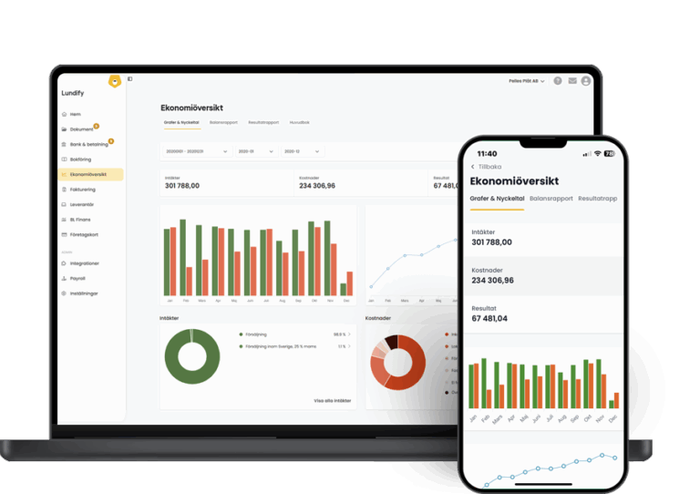 Skärmklipp som visar balansrapport i Lundifys ekonomiöversikt