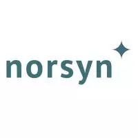 logo_norsyn
